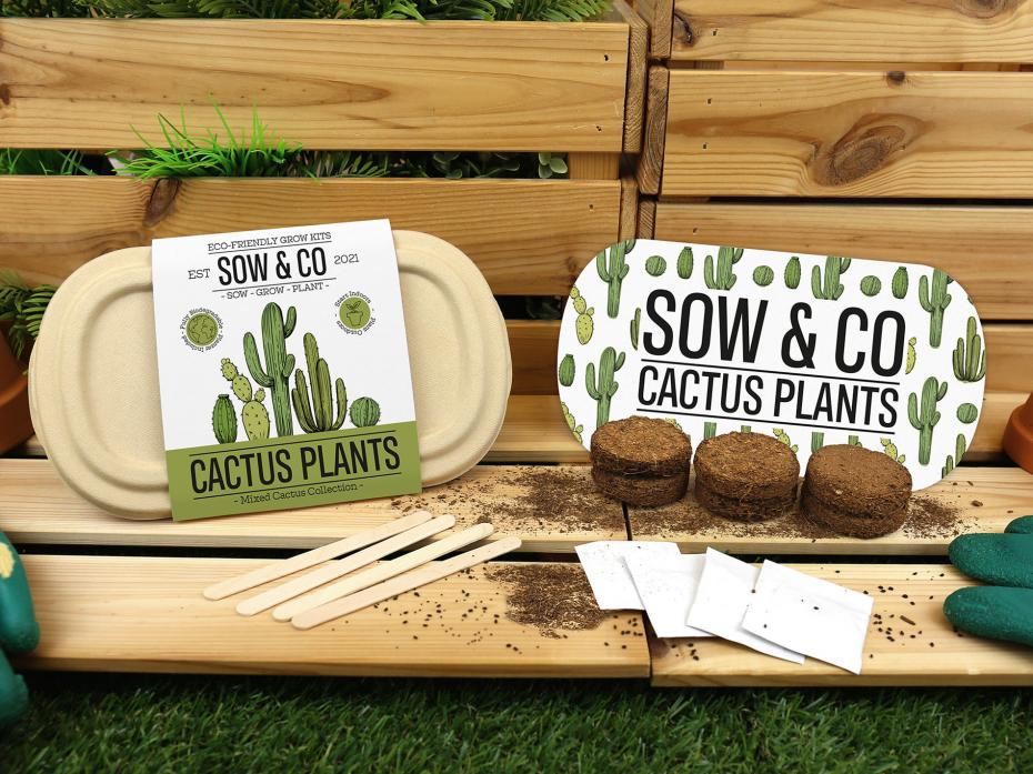 Sow & Co. Cactus